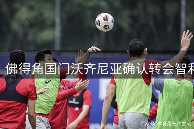 佛得角国门沃齐尼亚确认转会智利科洛科洛 签一年半合约