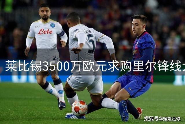 莱比锡3500万欧元求购里尔锋线大将帕尔多